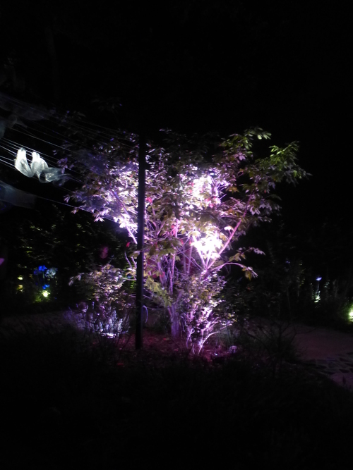 JARDINS DE CHAUMONT BY NIGHT .........