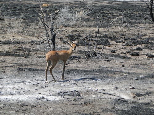 Namibie