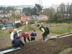 C'est le printemps.Retour aux jardins Volpette