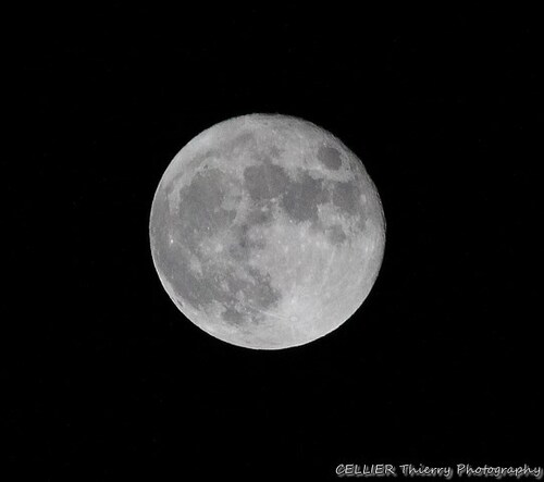 Pleine lune : 07 novembre 2014