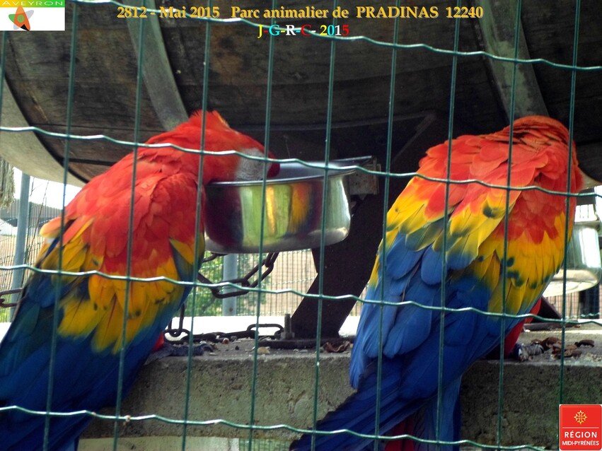 Parc animalier de PRADINAS 12   24-05-2015    4/7  D 08/04/2016 