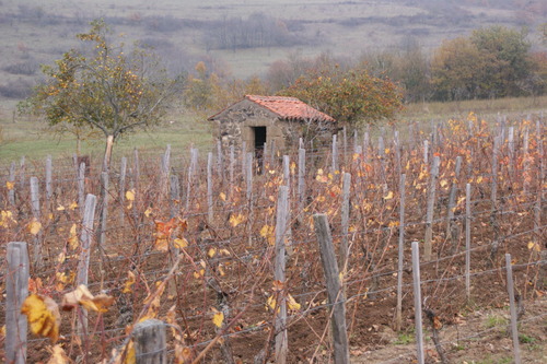 19.11.2018.le Domaine de Sarlant.Yronde et Buron