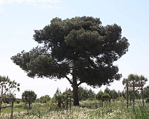 ballade autour du Pourra 078