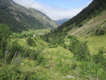 La vallée vers le lac d'Estaing