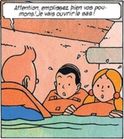 Tintin et le Lac Aux Requins : attention à la version "Rodier"