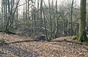 LES REMPARTS D'IGE (Orne)