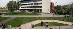 My university and the city of Maynooth