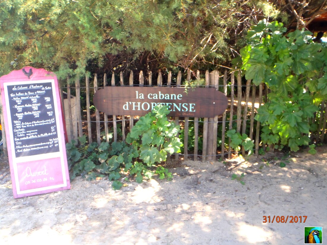 Cap - Ferret : Cabane ostréicole