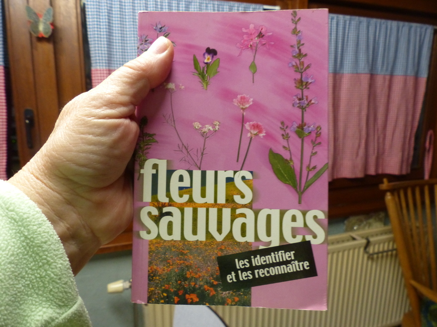 Tissage avec plantes SAUVAGES