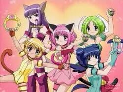 mewmew power