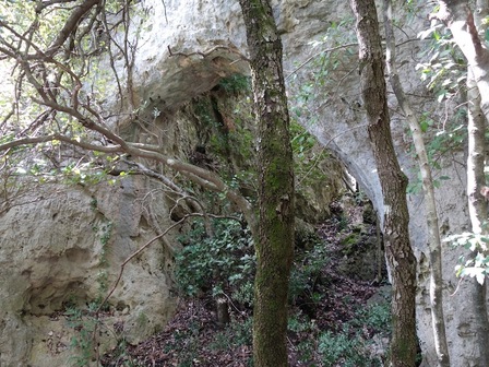 La "nouvelle "arche, au dessus de la  source. Vue du bas