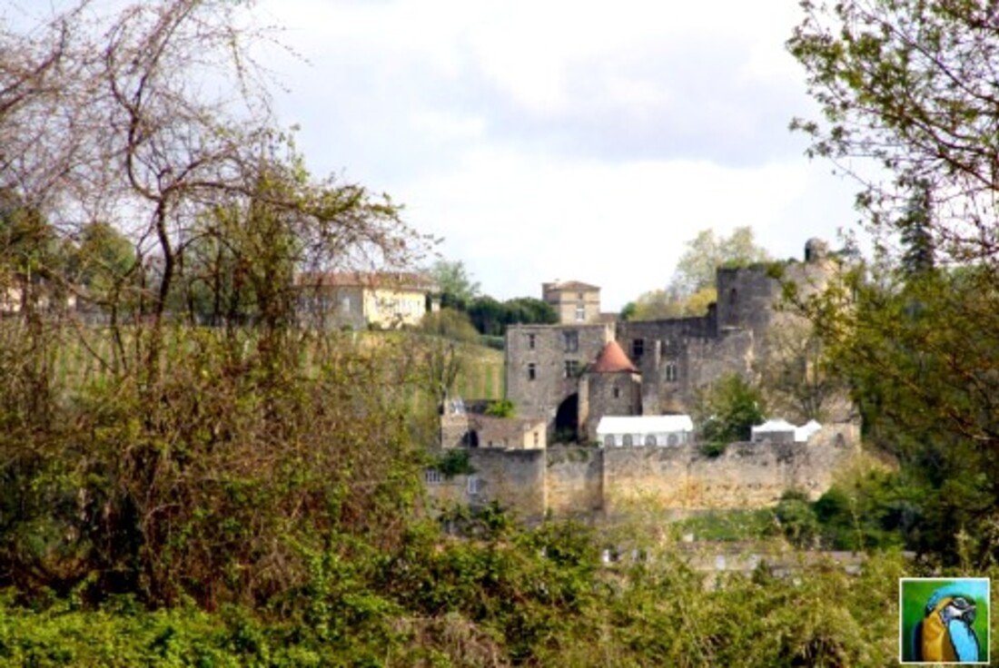 Balade sur la Garonne 3/5