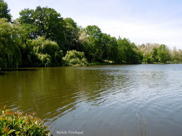 Une balade au Lac de Christus à SAINT PAUL LES DAX (40), le 6 mai (suite n° 3 et fin)