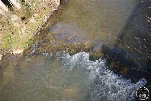 Longwe, le ruisseau