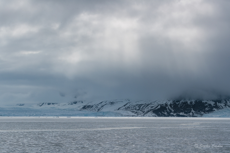 Nordstjernen 20 Mai - Monacobreen