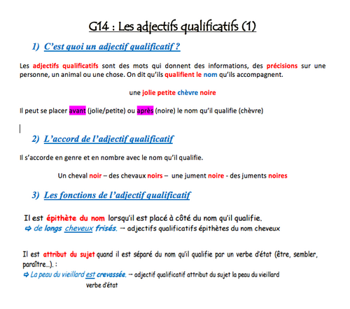 G14 : Les adjectifs qualificatifs