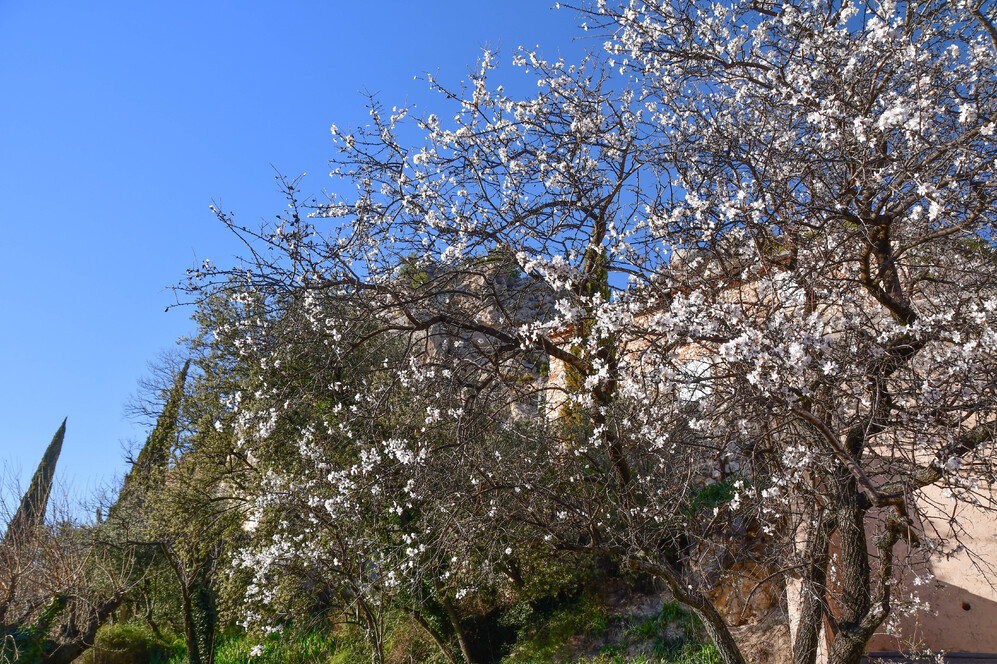 Randonnée dans les Dentelles de Montmirail