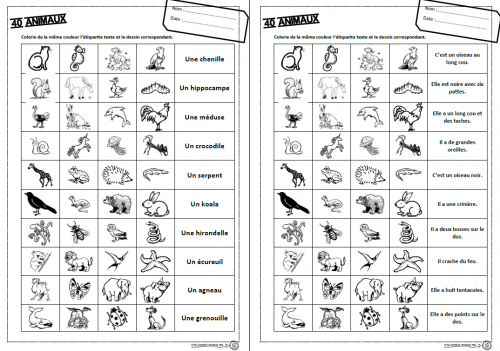 40 animaux, lire, lecture, mots, phrases, inférences, consignes, compréhension, cp, ce1, ce2, cycle 2, dixmois