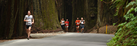 season marathon geant forest 