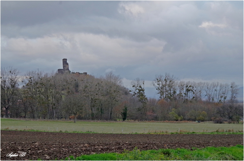 Palette de fin novembre .