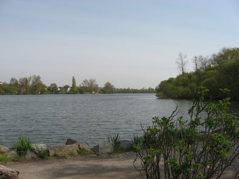 06-04 007