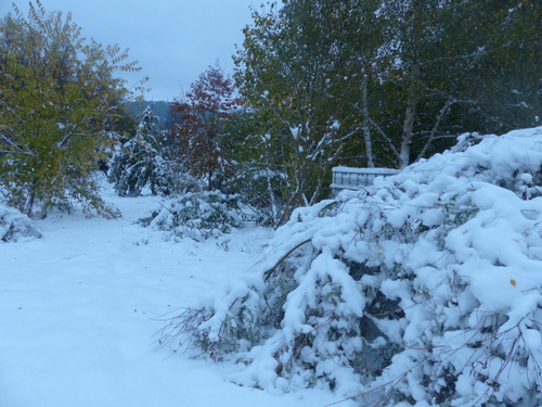 les dégats de la tempète de neige d'oct 2018