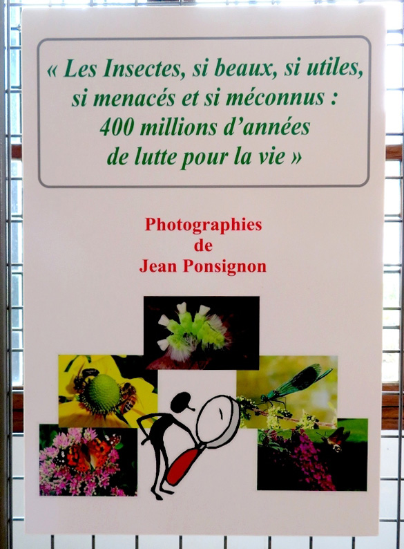 Jean Ponsignon expose ses magnifiques photos d'insectes à l'Office du tourisme de Châtillon sur Seine