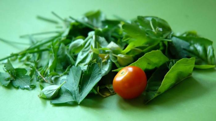 Les délicieuses herbes aromatiques et leurs vertus