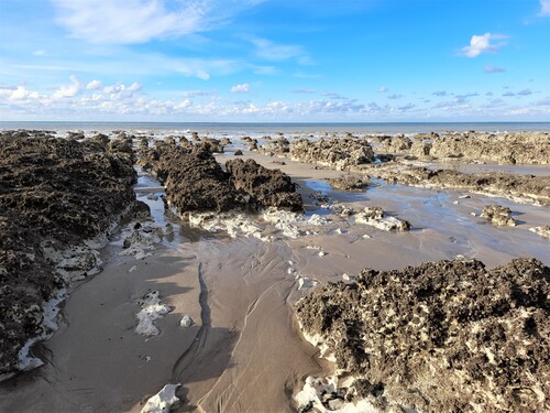 Les falaises d'Ault et le Bois de Cise