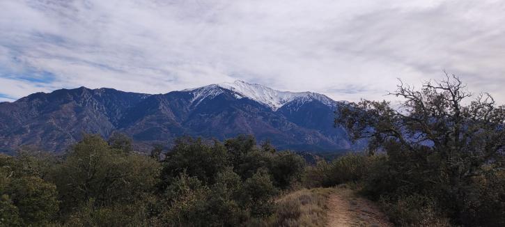 Peut être une image de arbre, montagne et nature