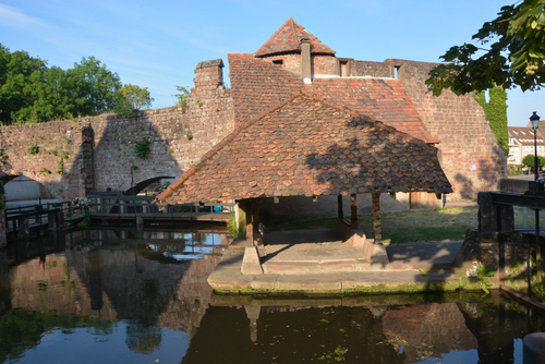 Allemagne - Vallée du Neckar - été 2014