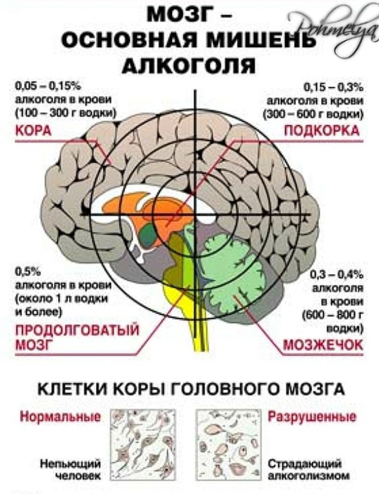 новые способы кодировки от алкоголя