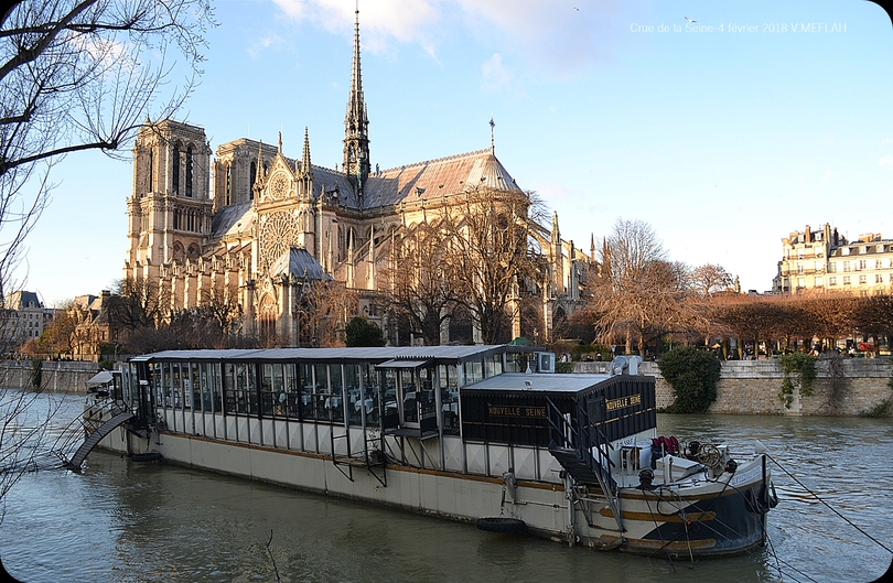 Crue de la Seine 2018 - Photos du 4 février 2018 ... Suite