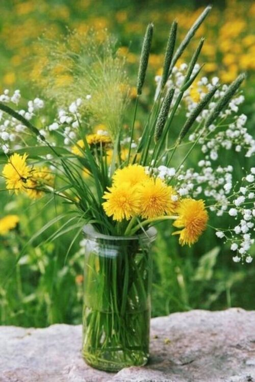 Fleurs champêtres(suite)