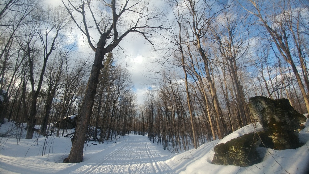 Sunny winter day at Gatineau Park