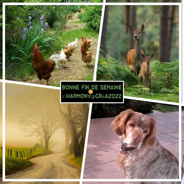 Bonne fin de semaine et bon week end à tous.