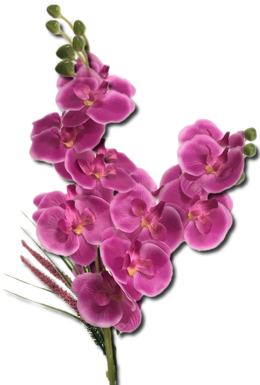 Mes tubes Fleurs