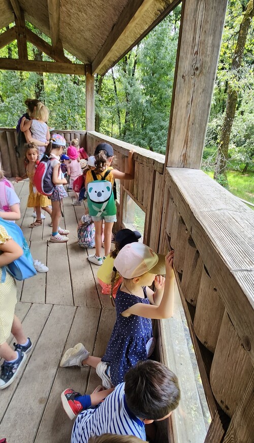 Sortie au parc Zoodyssée