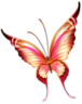 papillons png