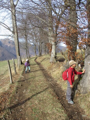 Rando : sur les flancs de la Husse (Gouaux de Luchon) - 31