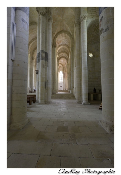 Chênehutte-Trèves-Cunault - Maine et Loire - Pays de Loire - 4 Juillet 2015