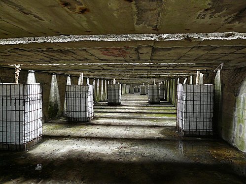 plantations dans les chambres d'explosion des bombes