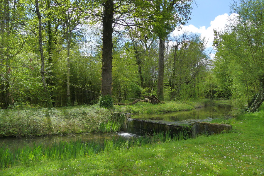 La vallée des singes,2