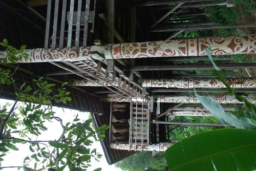 Samedi 13 juillet Ethnies et lucioles