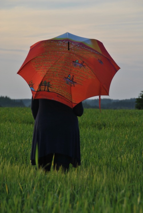 Parapluie en Belgique... 