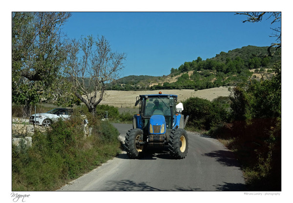 Visite de la ferme Son Mesquida