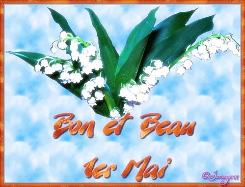 1er-mai-muguet003.jpg