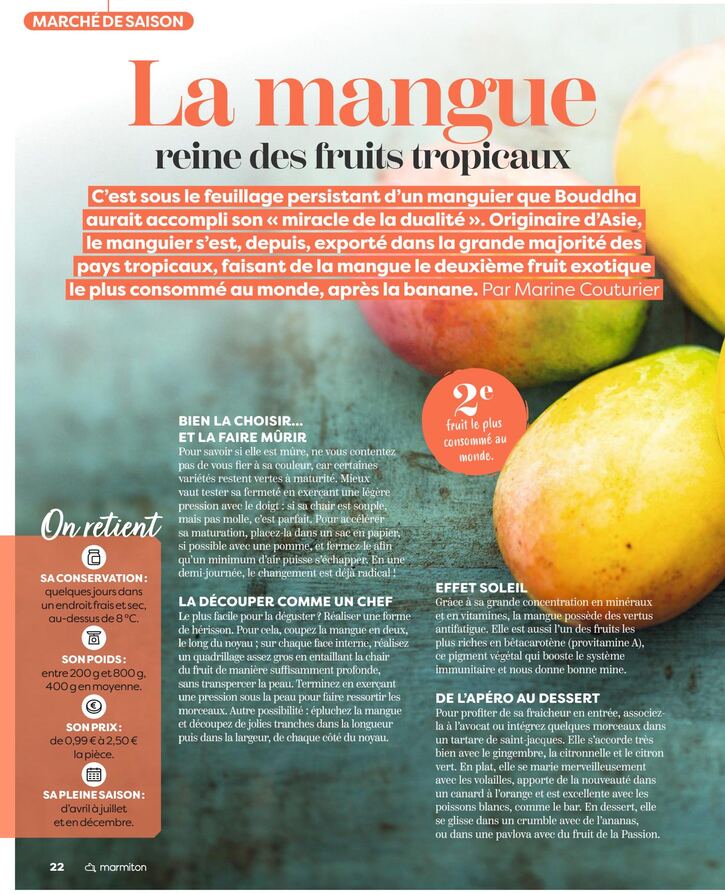Recettes 14: La mangue - reine des fruits tropicaux (2 pages)