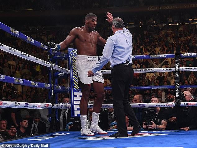 Anthony Joshua was stopped in the seventh round of his fight against Andy Ruiz Jnr