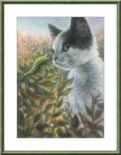 Lynn Bonnette - " Black & White & green Cat & Caterpillar "
